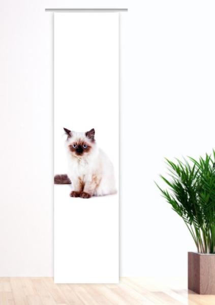 Majesti Katzenbaby, Flächenvorhang Einzel